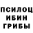 Галлюциногенные грибы прущие грибы Slaiter Ddd