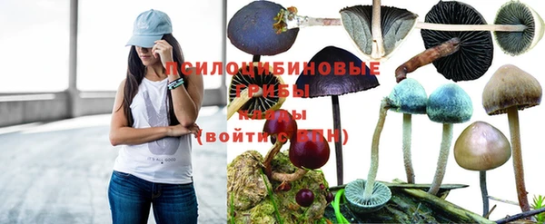 а пвп мука Медногорск