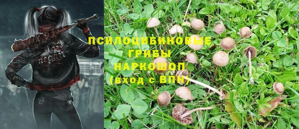 а пвп мука Майский