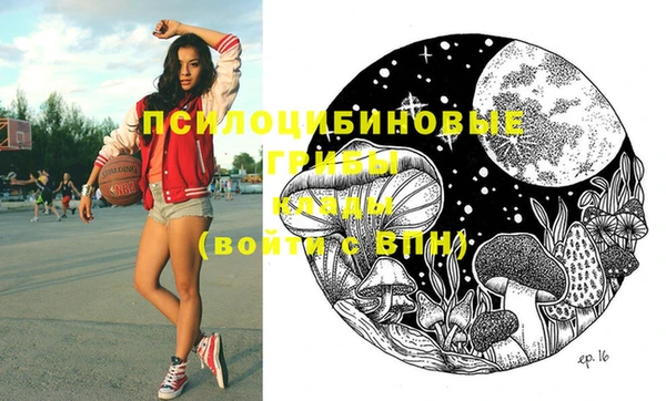 2c-b Михайлов