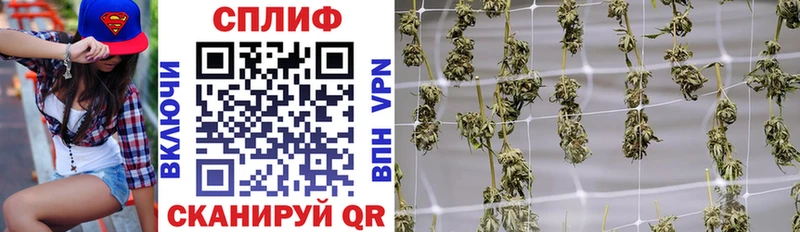 Шишки марихуана сатива Нариманов